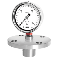 Wise Pressure Gauge, P761,P762,P763
